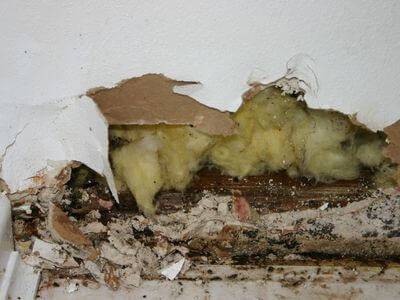 Professional water damage restoration services in Redondo Beach - SurgeSnap Co